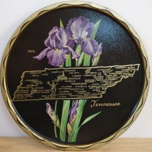Vintage Tennessee State Souvenir Round Metal Tray